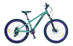 XE ĐẠP ĐỊA HÌNH FORNIX X12-V8