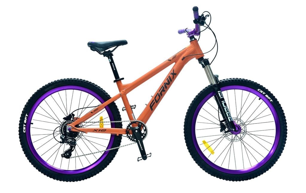 XE ĐẠP ĐỊA HÌNH FORNIX X12-V8