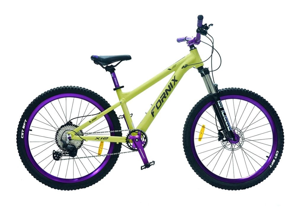 XE ĐẠP ĐỊA HÌNH FORNIX X12-V11