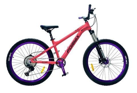 XE ĐẠP ĐỊA HÌNH FORNIX X12-V11