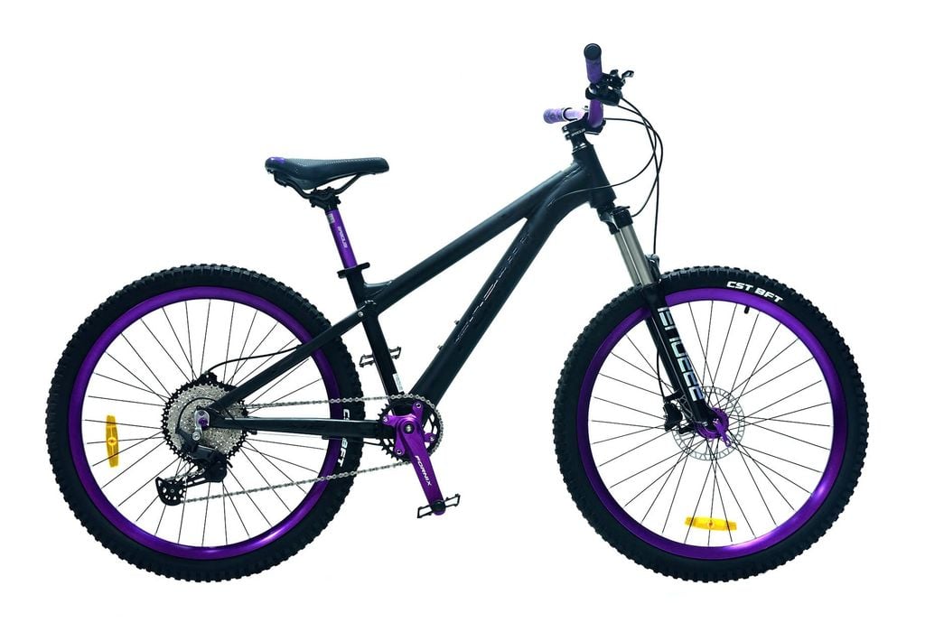 XE ĐẠP ĐỊA HÌNH FORNIX X12-V11