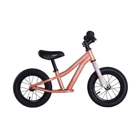 XE THĂNG BẰNG FORNIX BB12