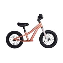 XE THĂNG BẰNG FORNIX BB12