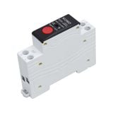 Bộ tưới cây WiFi Hẹn giờ và Điều khiển từ xa 220V