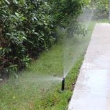 Đầu tưới cỏ Pop Up 1804 RainBird (Strip Van)