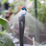 Đầu tưới phun mưa hình nón CFd Downspray