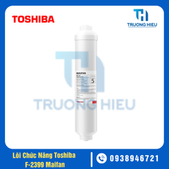 Lõi lọc chức năng Toshiba F-2399-Maifan
