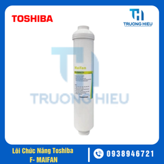 LÕI LỌC CHỨC NĂNG TOSHIBA F-MAIFAN