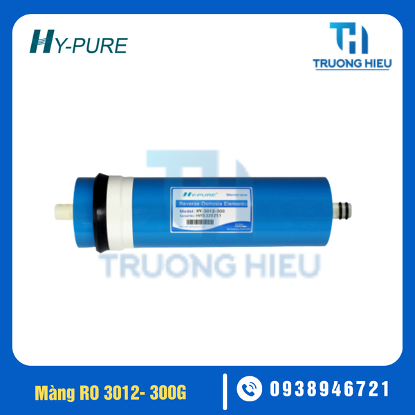 MÀNG LỌC RO HYPURE 3012-300G