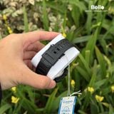  Casio AEQ-110W-3A2 - Uy tín từ 2009, Tem vàng chống giả, Bảo hành 1 năm, Pin miễn phí trọn đời 