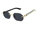  Kính Mát Cartier CT0439S 002 - Tặng kèm tròng kính Essilor Pháp, Liên hệ giá tốt Mrs.Hà 0948.74.5959 
