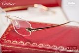  Gọng Kính Cartier CT0494O 001 - Tặng kèm tròng kính Essilor Pháp, Liên hệ giá tốt Mrs.Hà 0948.74.5959 