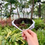  Kính Mát Oakley Cybr zero OO9512D 951202 chính hãng GIÁ TỐT LIÊN HỆ 0948.74.5959 (Mrs.Hà) 