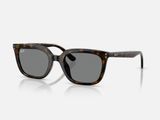  Kính Mát Ray-ban RB4439D 71087 chính hãng GIÁ TỐT LIÊN HỆ 0948.74.5959 (Mrs.Hà) | RB4439D 710/87 