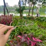  Gọng Kính Ray-Ban RX6553 3094 chính hãng GIÁ TỐT LIÊN HỆ 0948.74.5959 (Mrs.Hà) 