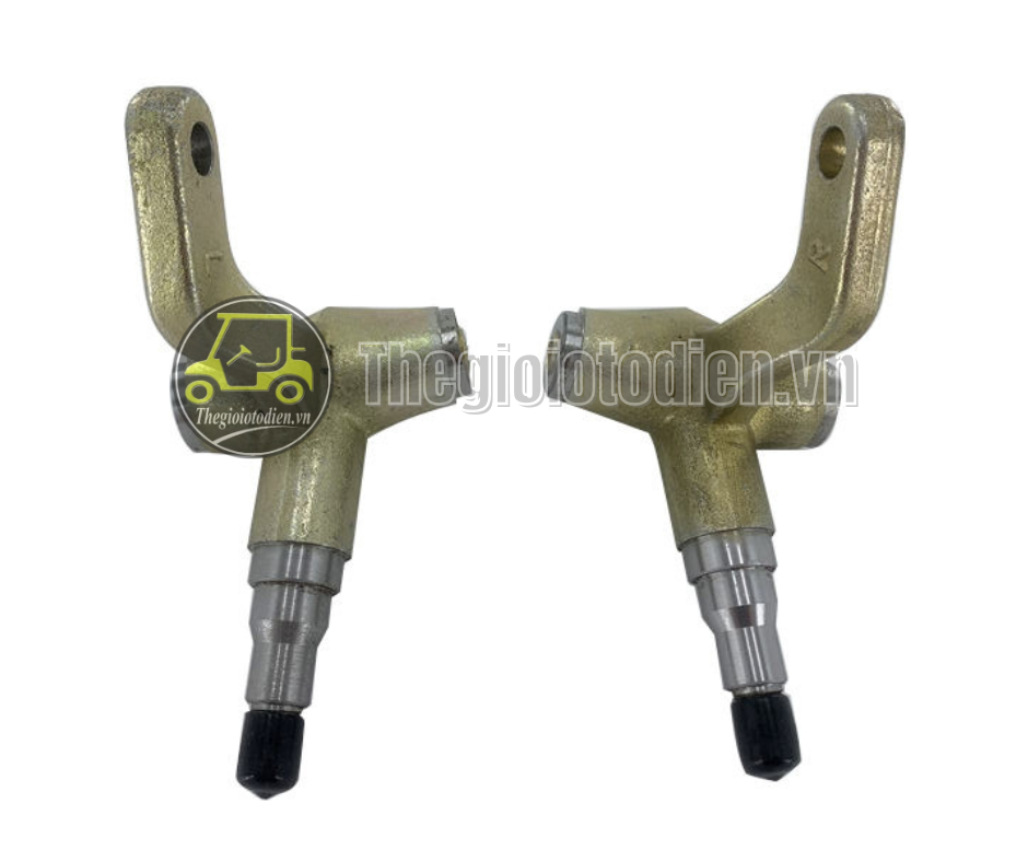 Giò gà xe điện LVTONG