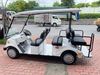 Xe điện sân golf 6 chỗ cũ