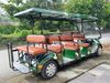 Xe điện Sanyo 8 chỗ ngồi