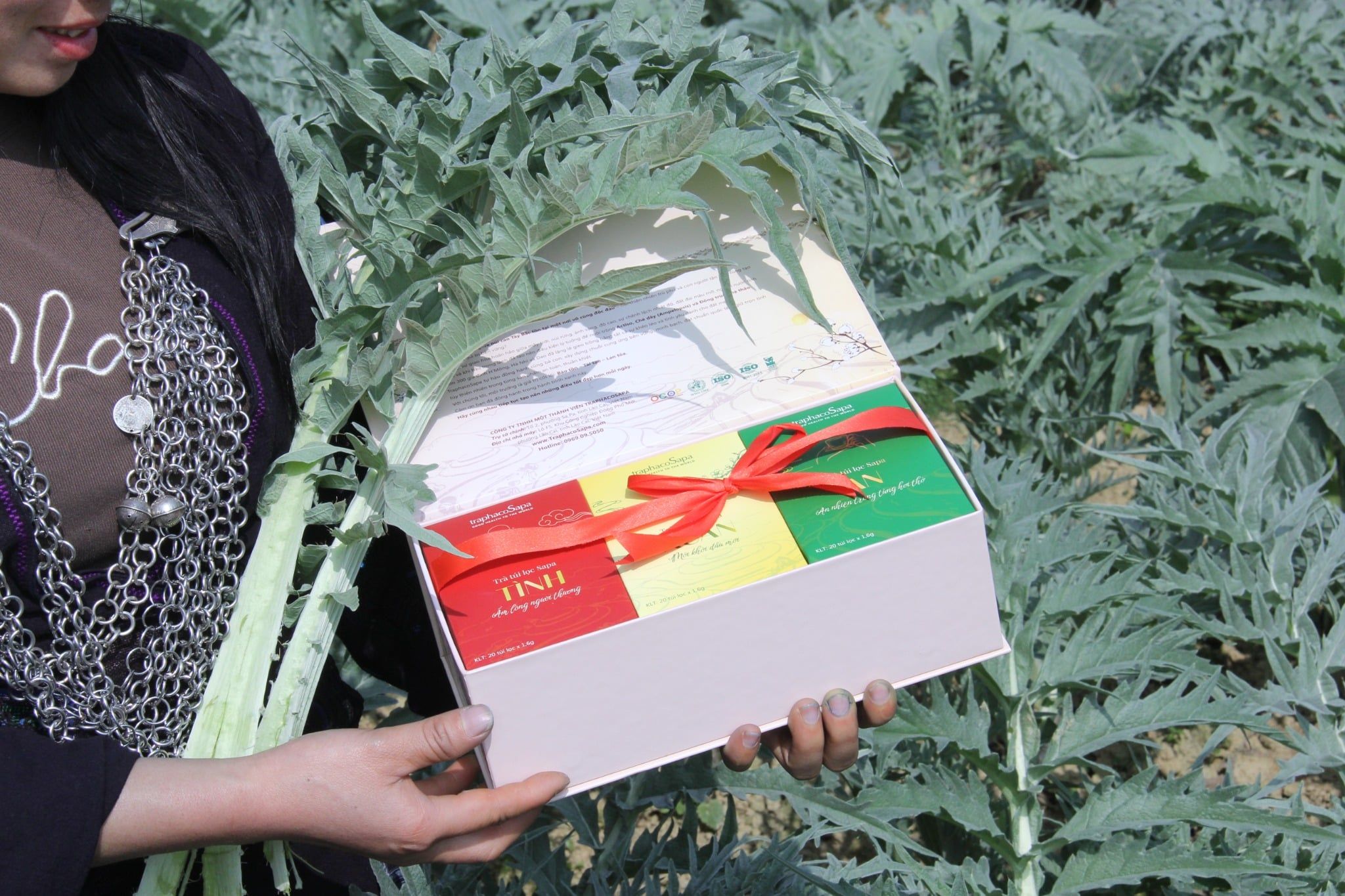  Set Trà TÌNH XUÂN AN bộ trà túi lọc Sapa Tinh hoa thảo mộc Sapa – Nhấp một ngụm, chạm bình yên 