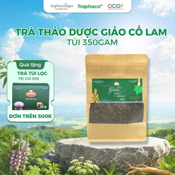  Trà Thảo Dược Giảo Cổ Lam Sapa TRAPHACO SAPA [OCOP 3 Sao] Hỗ Trợ Giấc Ngủ, Giảm Căng Thẳng 350gr 