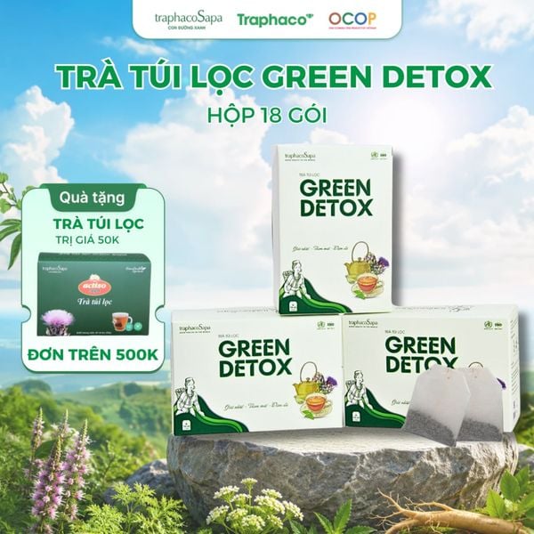  Trà túi lọc Green Detox TRAPHACO SAPA Hỗ Trợ Thanh Lọc Cơ Thể, Làm Mát Gan, Giảm Nóng Trong 