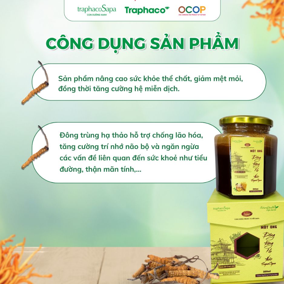 Mật Ong Đông Trùng Hạ Thảo Sapaceps TRAPHACO SAPA Hỗ Trợ Sức Khoẻ, Giảm Mệt Mỏi 350ml 