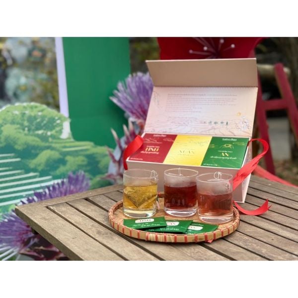  Set Trà TÌNH XUÂN AN bộ trà túi lọc Sapa Tinh hoa thảo mộc Sapa – Nhấp một ngụm, chạm bình yên 
