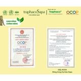  [Combo] Đông trùng hạ thảo Sapa khô 10g và 25g 
