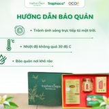  Set Quà Đặc Biệt 1 TRAPHACOSAPA Sang Trọng Biếu Tặng Bổ Dưỡng 