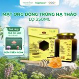  Mật Ong Đông Trùng Hạ Thảo Sapaceps TRAPHACO SAPA Hỗ Trợ Sức Khoẻ, Giảm Mệt Mỏi 350ml 