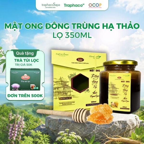  Mật Ong Đông Trùng Hạ Thảo Sapaceps TRAPHACO SAPA Hỗ Trợ Sức Khoẻ, Giảm Mệt Mỏi 350ml 