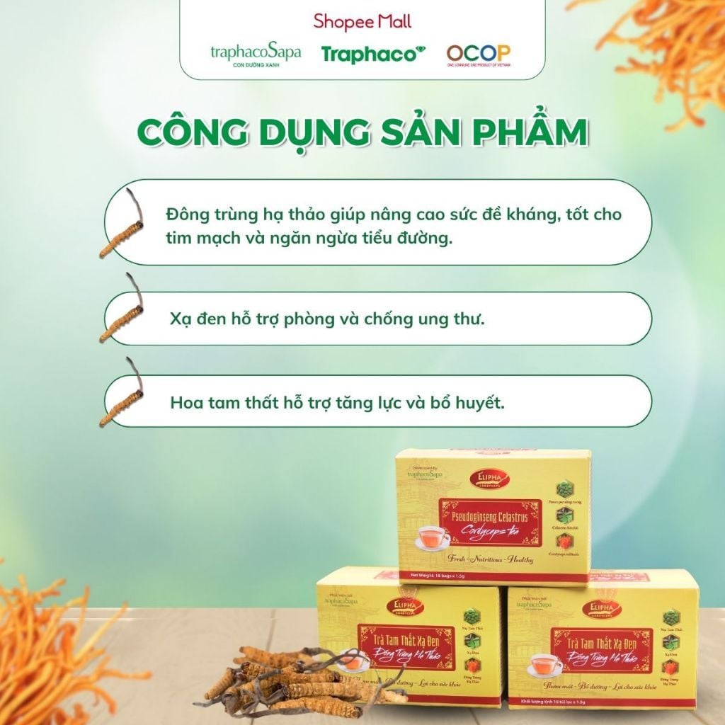  [COMBO 3 HỘP] Trà Túi Lọc Đông Trùng Hạ Thảo Tam Thất Xạ Đen TRAPHACOSAPA Hộp 18 Túi Lọc 