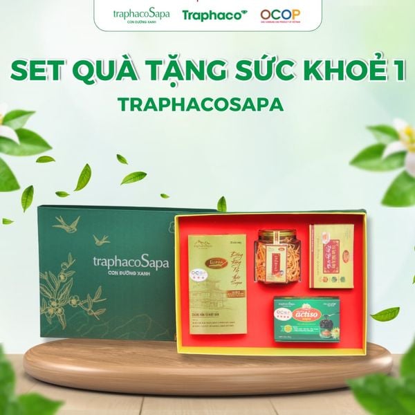  Set Quà Đặc Biệt 1 TRAPHACOSAPA Sang Trọng Biếu Tặng Bổ Dưỡng 