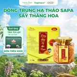  Đông Trùng Hạ Thảo Sapa Sấy Thăng Hoa TRAPHACO SAPA Nâng Cao Sức Khoẻ Giảm Mệt Mỏi 10gr 
