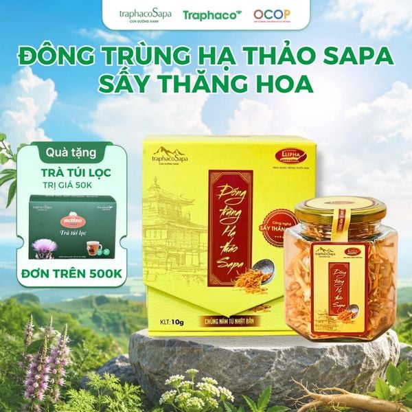  Đông Trùng Hạ Thảo Sapa Sấy Thăng Hoa TRAPHACO SAPA Nâng Cao Sức Khoẻ Giảm Mệt Mỏi 10gr 