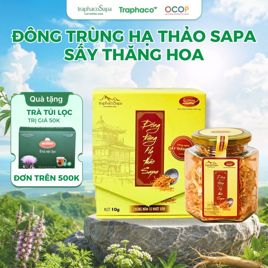  Đông Trùng Hạ Thảo Sapa Sấy Thăng Hoa TRAPHACO SAPA Nâng Cao Sức Khoẻ Giảm Mệt Mỏi 10gr 