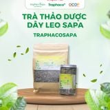  Trà Thảo Dược Chè Dây Leo Sapa TRAPHACO SAPA OCOP 4 Sao Mát Gan Lợi Tiểu Cải Thiện Giấc Ngủ 250gr 