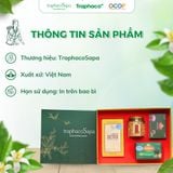  Set Quà Tặng 2 TRAPHACOSAPA Chocolate Detox Đông Trùng Trà Túi Lọc Atiso Thiểt Kế Đẹp Mắt Sang Trọng 