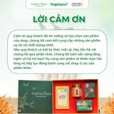  Set Quà Tặng 2 TRAPHACOSAPA Chocolate Detox Đông Trùng Trà Túi Lọc Atiso Thiểt Kế Đẹp Mắt Sang Trọng 