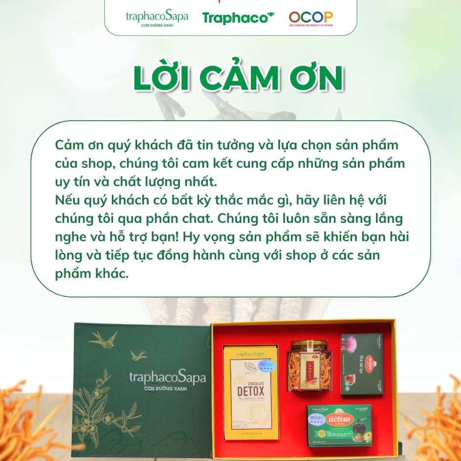  Set Quà Tặng 2 TRAPHACOSAPA Chocolate Detox Đông Trùng Trà Túi Lọc Atiso Thiểt Kế Đẹp Mắt Sang Trọng 