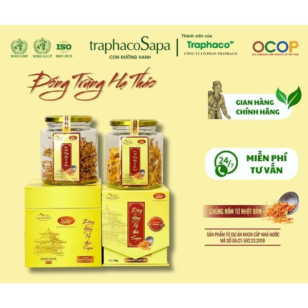  [Combo] Đông trùng hạ thảo Sapa khô 10g và 25g 