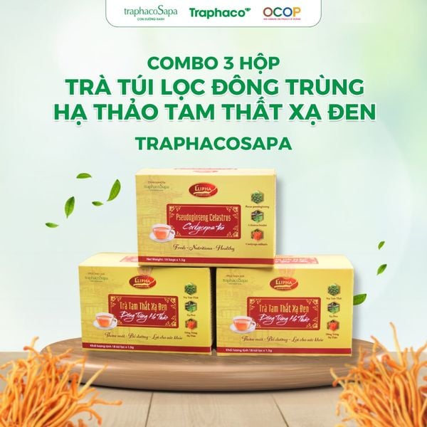  [COMBO 3 HỘP] Trà Túi Lọc Đông Trùng Hạ Thảo Tam Thất Xạ Đen TRAPHACOSAPA Hộp 18 Túi Lọc 