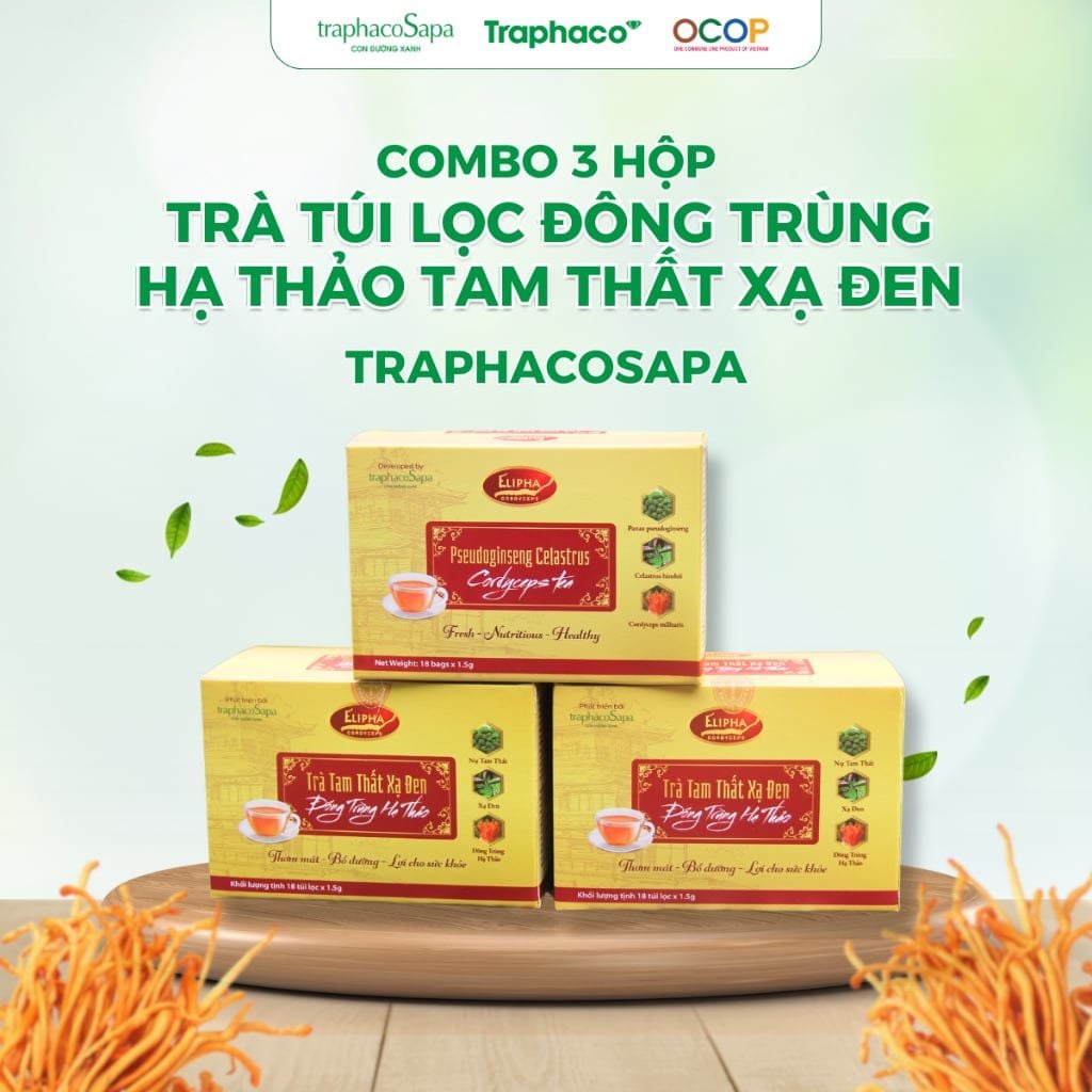  [COMBO 3 HỘP] Trà Túi Lọc Đông Trùng Hạ Thảo Tam Thất Xạ Đen TRAPHACOSAPA Hộp 18 Túi Lọc 