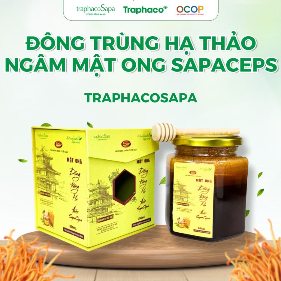  Mật Ong Đông Trùng Hạ Thảo Sapaceps TRAPHACO SAPA Hỗ Trợ Sức Khoẻ, Giảm Mệt Mỏi 350ml 