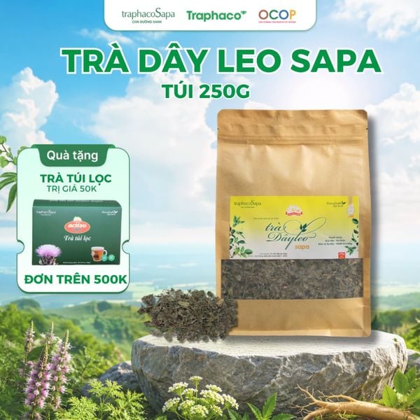 Trà Thảo Dược Chè Dây Leo Sapa TRAPHACO SAPA OCOP 4 Sao Mát Gan Lợi Tiểu Cải Thiện Giấc Ngủ 250gr 