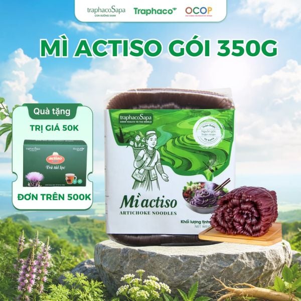  Mì Chũ Actiso TRAPHACOSAPA Giàu Dinh Dưỡng Hỗ Trợ Người Ăn Kiêng, Ăn Eatclean, Ăn Healthy 350gr 