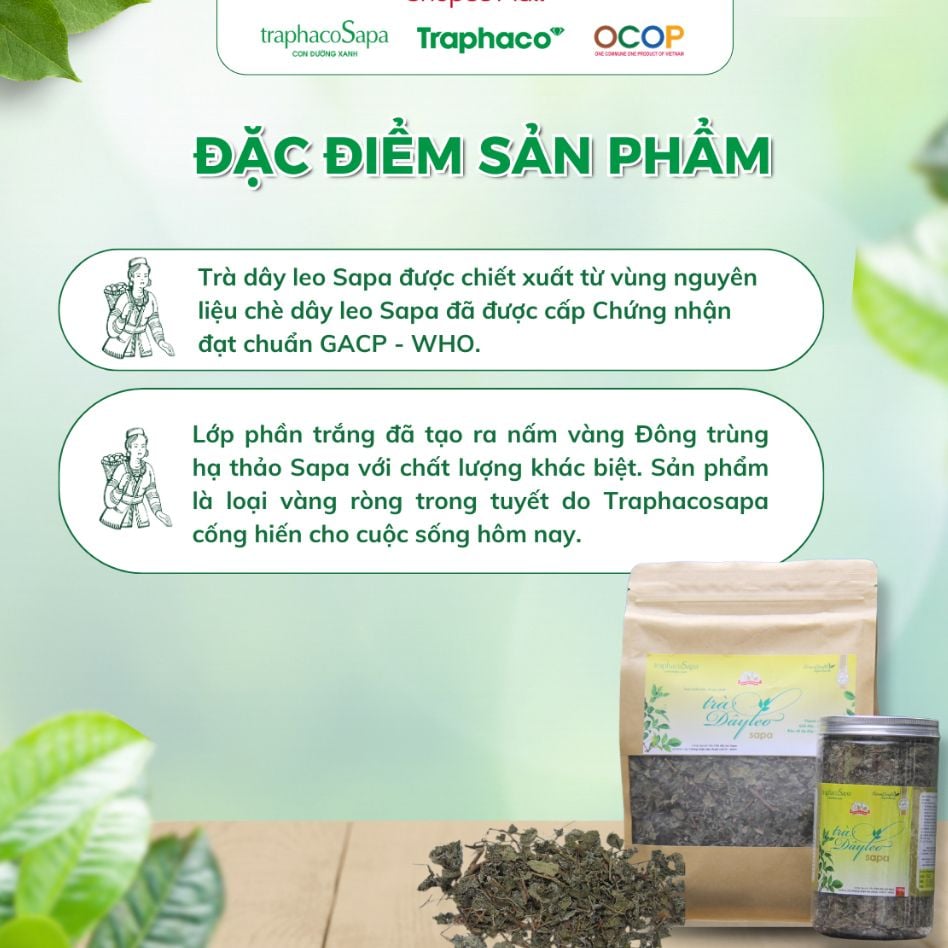  Trà Thảo Dược Chè Dây Leo Sapa TRAPHACO SAPA OCOP 4 Sao Mát Gan Lợi Tiểu Cải Thiện Giấc Ngủ 250gr 