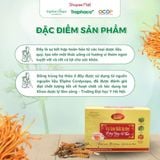  [COMBO 3 HỘP] Trà Túi Lọc Đông Trùng Hạ Thảo Tam Thất Xạ Đen TRAPHACOSAPA Hộp 18 Túi Lọc 