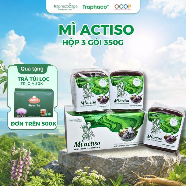  Mì Chũ Actiso TRAPHACOSAPA Giàu Dinh Dưỡng Hỗ Trợ Người Ăn Kiêng, Ăn Eatclean, Ăn Healthy 350gr 