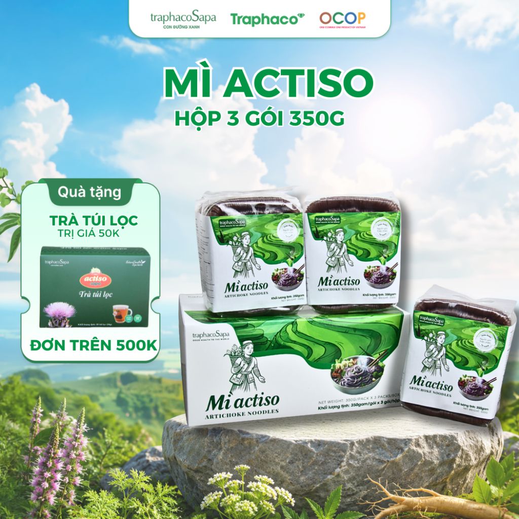  Mì Chũ Actiso TRAPHACOSAPA Giàu Dinh Dưỡng Hỗ Trợ Người Ăn Kiêng, Ăn Eatclean, Ăn Healthy 350gr 